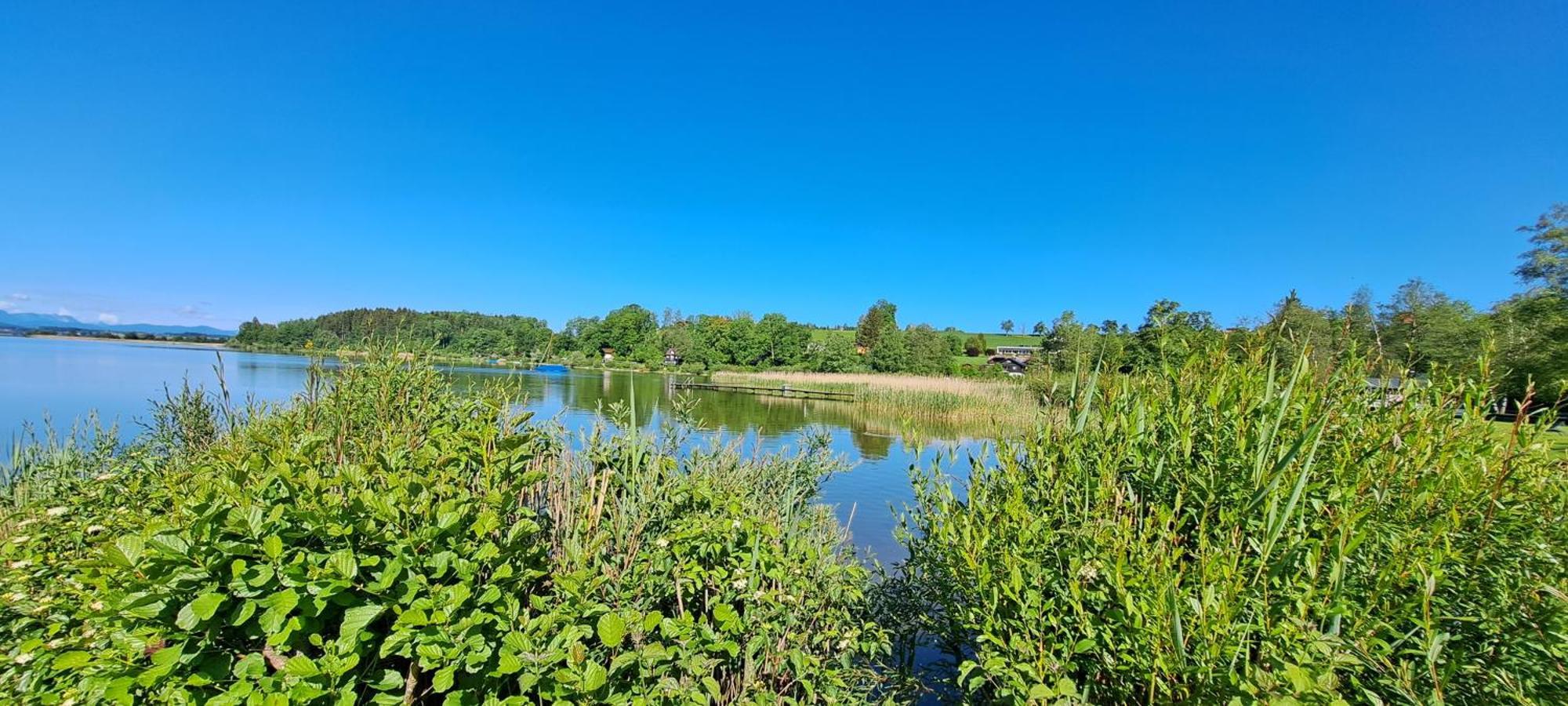 ניומרקט אם וואלרסי Ferienwohnung Wallersee מראה חיצוני תמונה